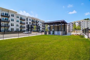 Dog park and pet spa